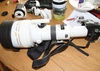 minolta  600 mm f 4 autofocus  + converter  x 2  + boitier sony    Download?action=showthumb&id=138